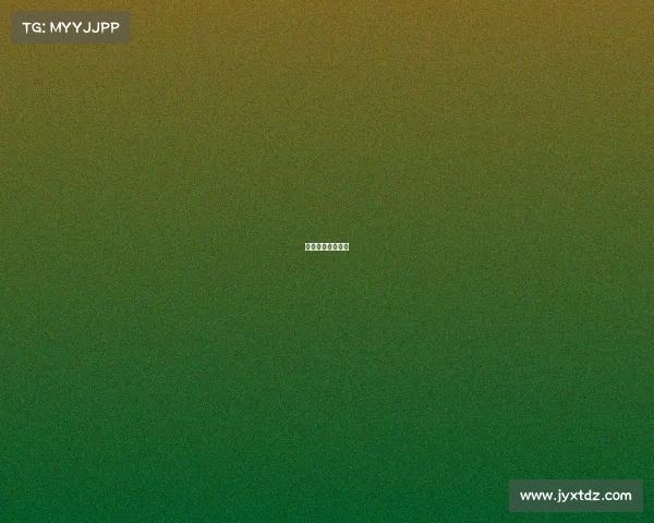 活塞战胜湖人夺冠